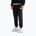 Vyriškos kelnės The North Face Evo Box Half Dome Regular Tappered tnf black