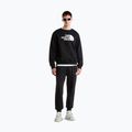 Vyriškos kelnės The North Face Evo Box Half Dome Regular Tappered tnf black 2