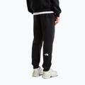 Vyriškos kelnės The North Face Evo Box Half Dome Regular Tappered tnf black 3