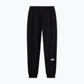 Vyriškos kelnės The North Face Evo Box Half Dome Regular Tappered tnf black 5