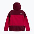 Moteriškas lietaus paltas The North Face Gtx Jazzi lali guran/burgundy cru 6