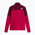 Moteriška striukė The North Face Polartec Stormgap lali guran/burgundy cru 6