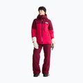Moteriška slidinėjimo striukė The North Face Freedom Insulated lali guran/burg 2