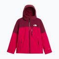 Moteriška slidinėjimo striukė The North Face Freedom Insulated lali guran/burg 5