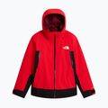 Vyriška slidinėjimo striukė The North Face Mount Bre elevation red/tnf black 4