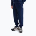 Vyriškos kelnės The North Face Evolution Simple Dome Regular Joggers summit navy