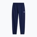 Vyriškos kelnės The North Face Evolution Simple Dome Regular Joggers summit navy 4