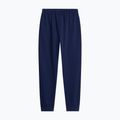 Vyriškos kelnės The North Face Evolution Simple Dome Regular Joggers summit navy 5