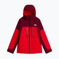 Vyriška slidinėjimo striukė The North Face Chakal elevation red/burgundy 5