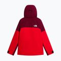 Vyriška slidinėjimo striukė The North Face Chakal elevation red/burgundy 6