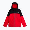 Vyriška slidinėjimo striukė The North Face Freedom Insulated elevation red/tnf black 5