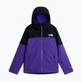 Vyriška slidinėjimo striukė The North Face Freedom Insulated peak purple/tnf black 5
