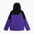 Vyriška slidinėjimo striukė The North Face Freedom Insulated peak purple/tnf black 6