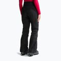 Moteriškos slidinėjimo kelnės The North Face Lenado tnf black 3