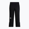 Moteriškos slidinėjimo kelnės The North Face Lenado tnf black 5