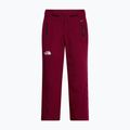 Moteriškos slidinėjimo kelnės The North Face Lenado burgundy crush