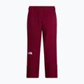Moteriškos slidinėjimo kelnės The North Face Lenado burgundy crush 2
