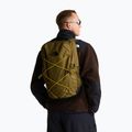 Miesto kuprinė The North Face Jester 28 l caraway seed/tnf black 6