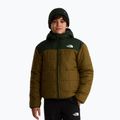 Šilta striukė vaikams The North Face Reversible Shasta FZ Hooded caraway seed/bo