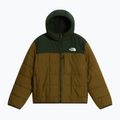 Šilta striukė vaikams The North Face Reversible Shasta FZ Hooded caraway seed/bo 6