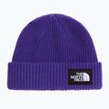 Žieminė kepurė The North Face Salty Lined peak purple