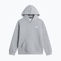 Vaikiškas džemperis The North Face Evolution Simple Dome Pullover Hood tnf pale grey heather