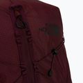 Turistinė kuprinė The North Face Borealis Trail 27 l deep burgundy 5