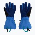 Vaikiškos slidinėjimo pirštinės The North Face Montana bold blue/active blue 2