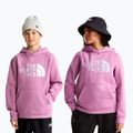 Vaikiškas džemperis The Noryh Face Essential Drew Peak Hoodie hushed lavender 3