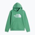 Vaikiškas džemperis The Noryh Face Essential Drew Peak Hoodie dimmed algae