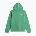 Vaikiškas džemperis The Noryh Face Essential Drew Peak Hoodie dimmed algae 2