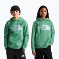 Vaikiškas džemperis The Noryh Face Essential Drew Peak Hoodie dimmed algae 3