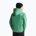 Vaikiškas džemperis The Noryh Face Essential Drew Peak Hoodie dimmed algae 5