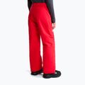 Vaikiškos slidinėjimo kelnės The North Face Freedom Insulated elevation red 3