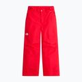 Vaikiškos slidinėjimo kelnės The North Face Freedom Insulated elevation red 4