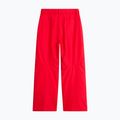 Vaikiškos slidinėjimo kelnės The North Face Freedom Insulated elevation red 5