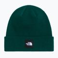 Žieminė kepurė The North Face Dock Worker Recycled Beanie hunter green