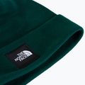 Žieminė kepurė The North Face Dock Worker Recycled Beanie hunter green 2