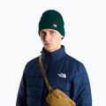 Žieminė kepurė The North Face Dock Worker Recycled Beanie hunter green 3
