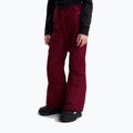 Vaikiškos slidinėjimo kelnės The North Face Freedom Insulated burgundy crush