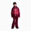 Vaikiškos slidinėjimo kelnės The North Face Freedom Insulated burgundy crush 2