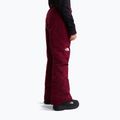 Vaikiškos slidinėjimo kelnės The North Face Freedom Insulated burgundy crush 3
