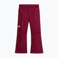 Vaikiškos slidinėjimo kelnės The North Face Freedom Insulated burgundy crush 4