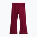 Vaikiškos slidinėjimo kelnės The North Face Freedom Insulated burgundy crush 5