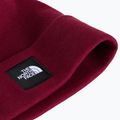 Žieminė kepurė The North Face Dock Worker Recycled Beanie burgundy crush 2