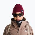 Žieminė kepurė The North Face Dock Worker Recycled Beanie burgundy crush 3