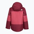 Vaikiška striukė The North Face Freedom Insulated burgundy crush/fermente 2