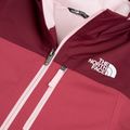 Vaikiška striukė The North Face Freedom Insulated burgundy crush/fermente 3