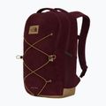 Miesto kuprinė The North Face Jester Pro 28 l deep burgundy/leather bro 2