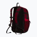 Miesto kuprinė The North Face Hot Shot Se 30 l burgundy crush/lali gur 3